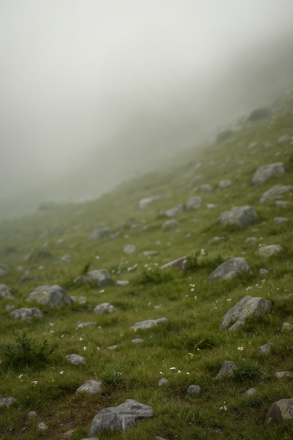 Foggy Mountain Slope with Scattered Rocks and Green Grass