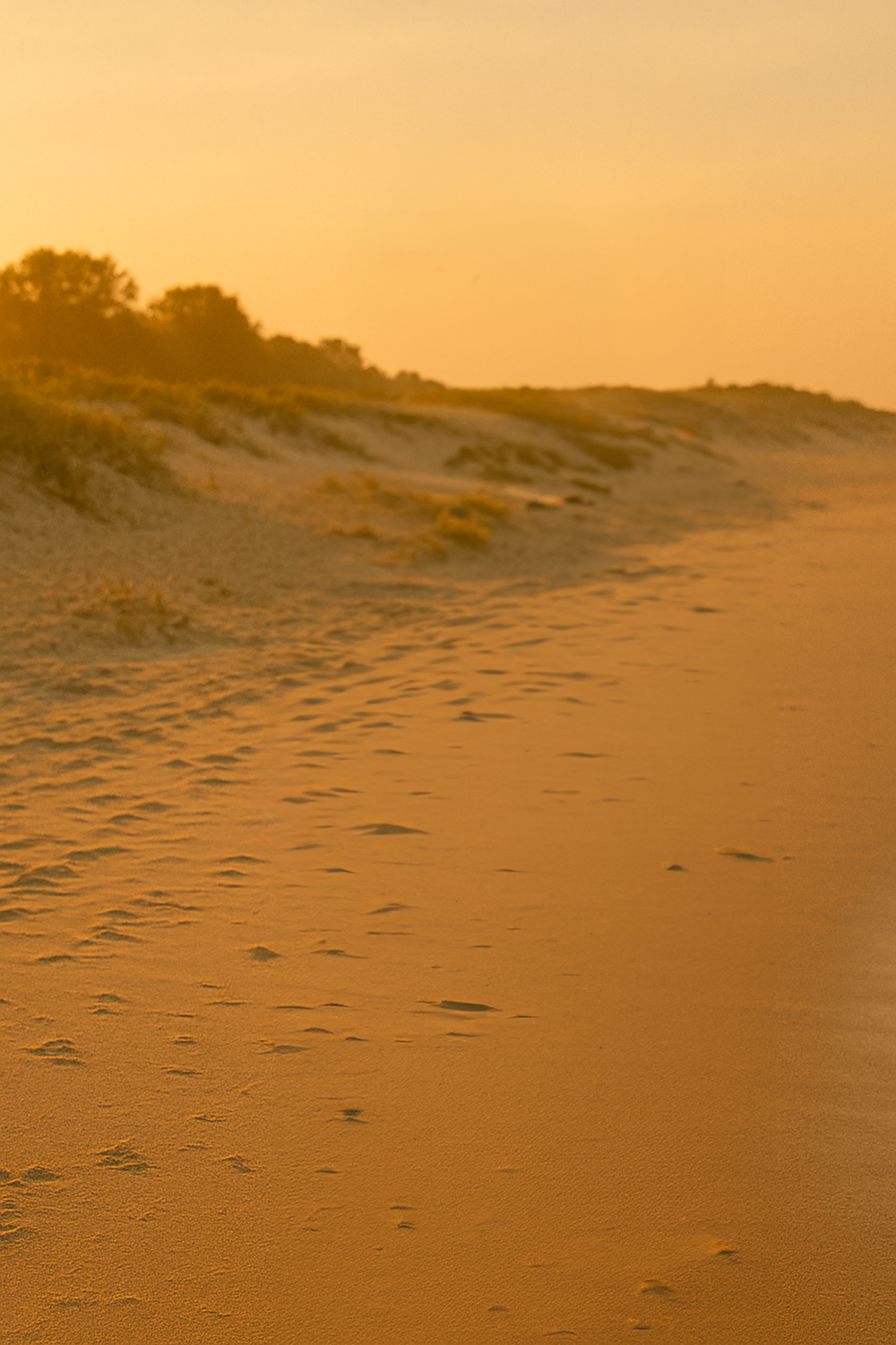 Golden beach shoreline with sand dunes and sunset sky