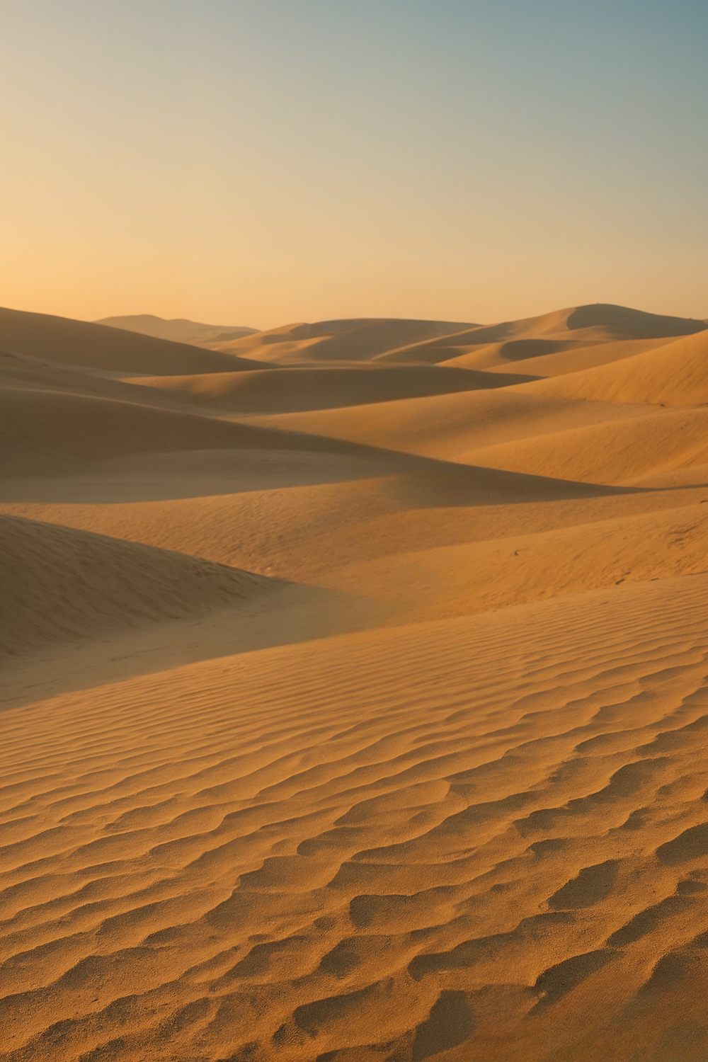 Golden light over rolling desert dunes at sunset