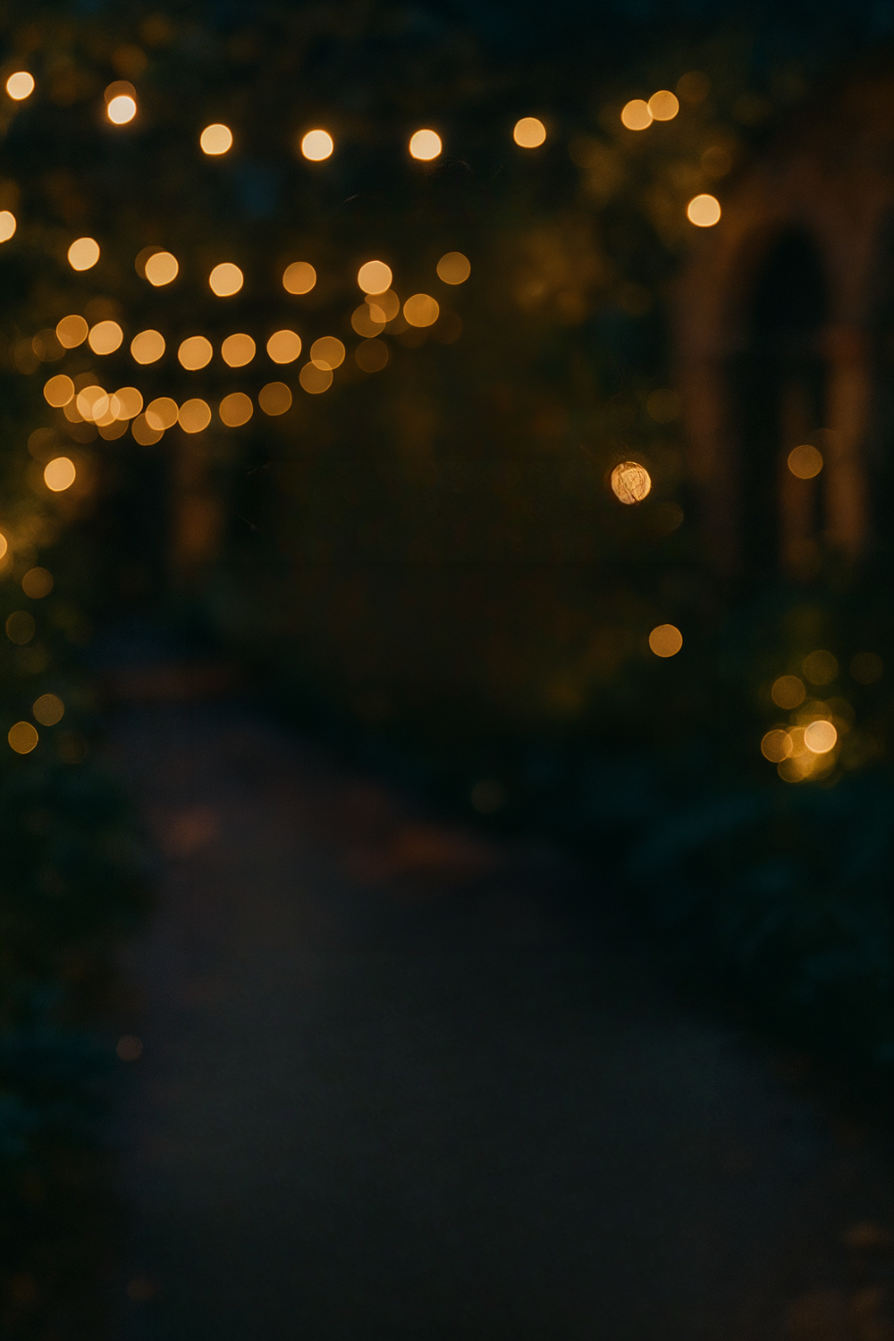 Evening garden with string lights and lush greenery