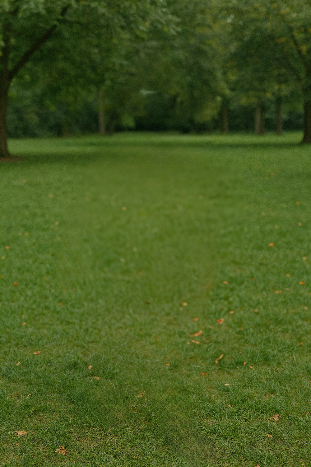 Woman walking through open green park with scattered trees