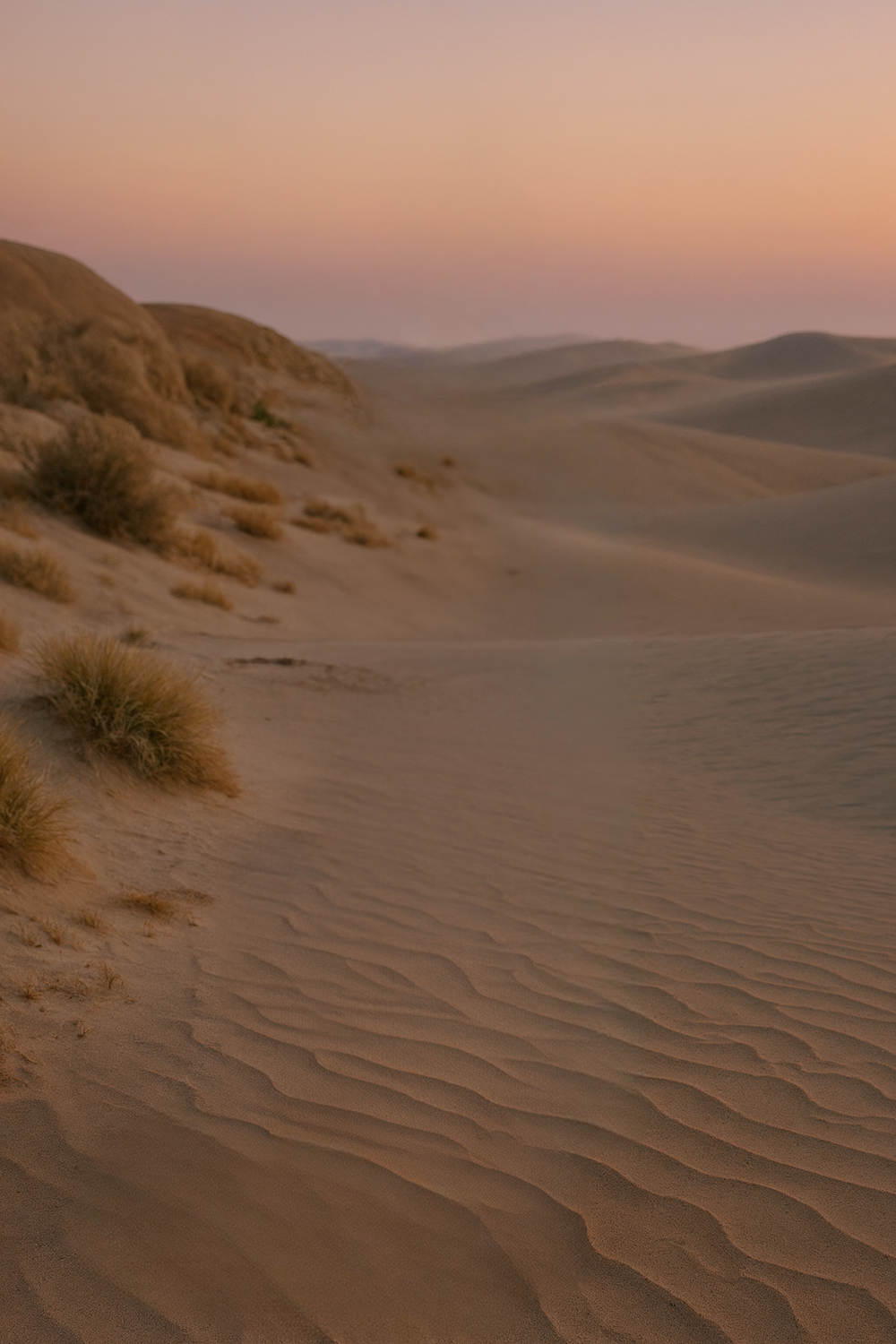 Wavy sand dunes under a pastel-colored evening sky