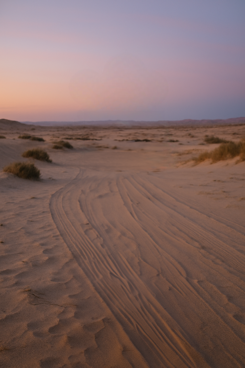 Golden desert landscape with pastel evening sky glow