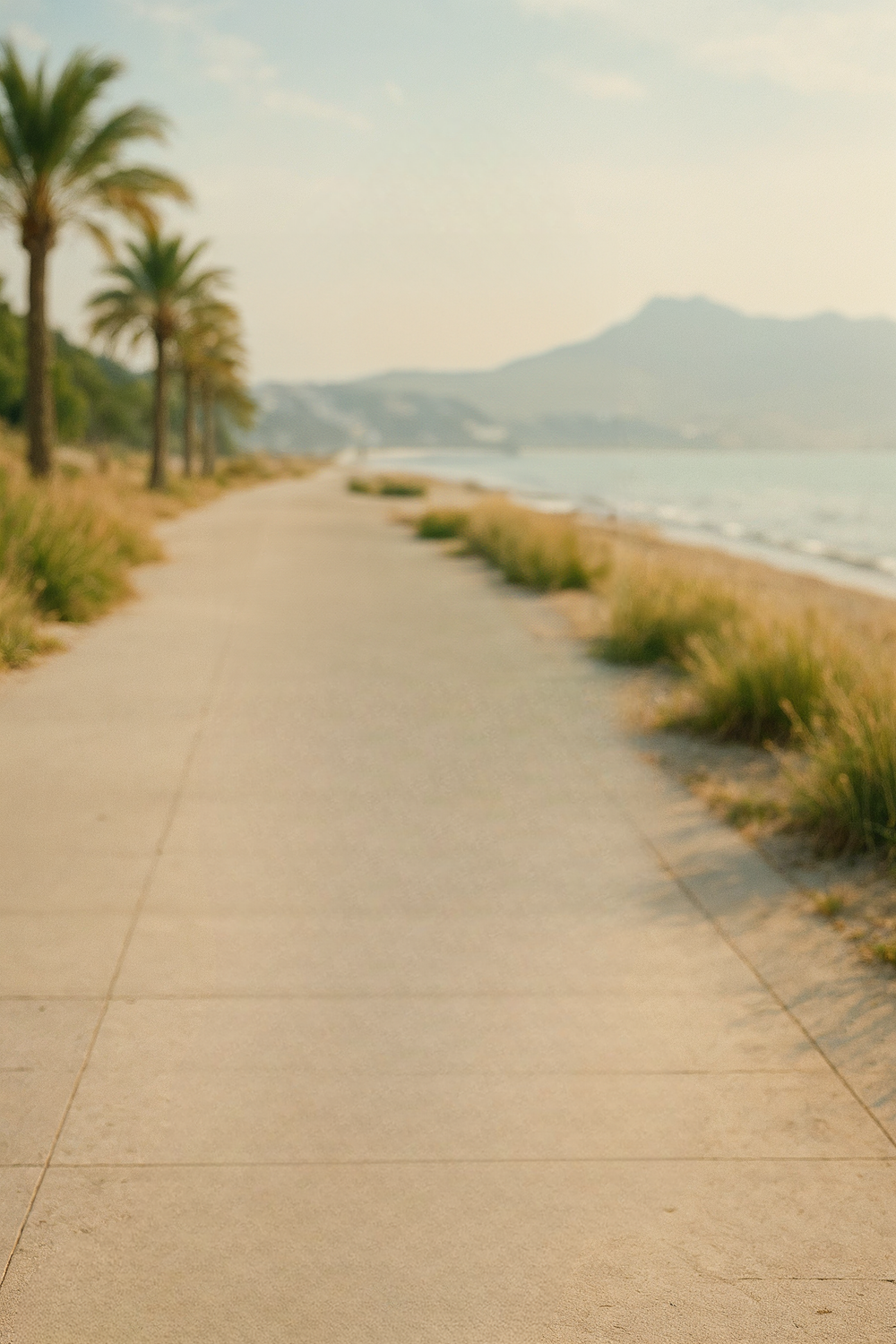 Palm-lined beach promenade with mountains and ocean view