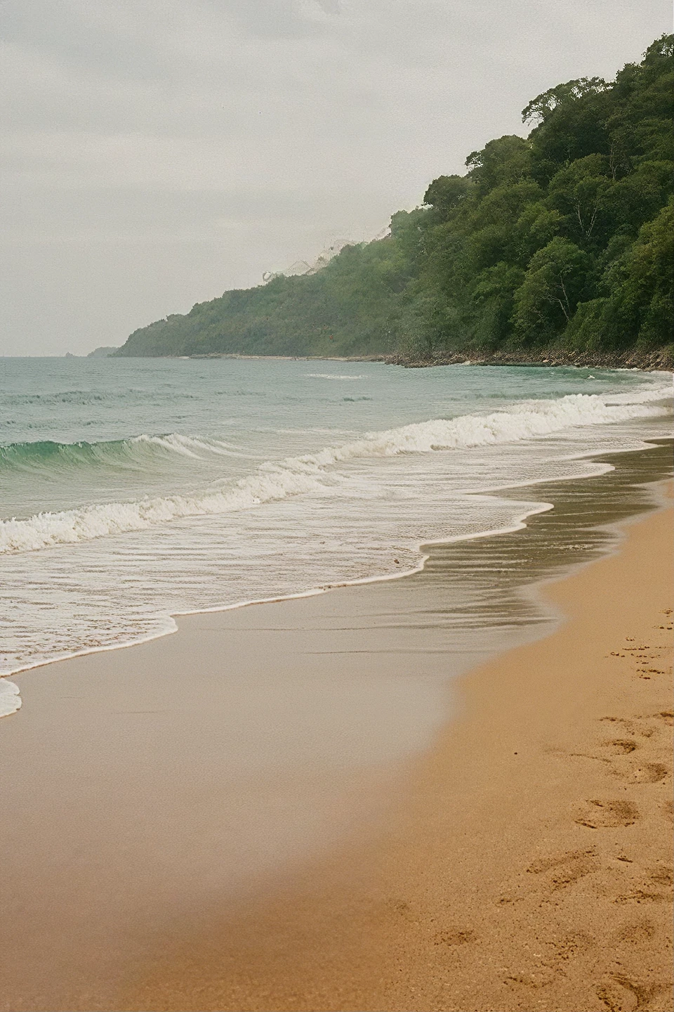 Tropical coastline with lush green hills and waves