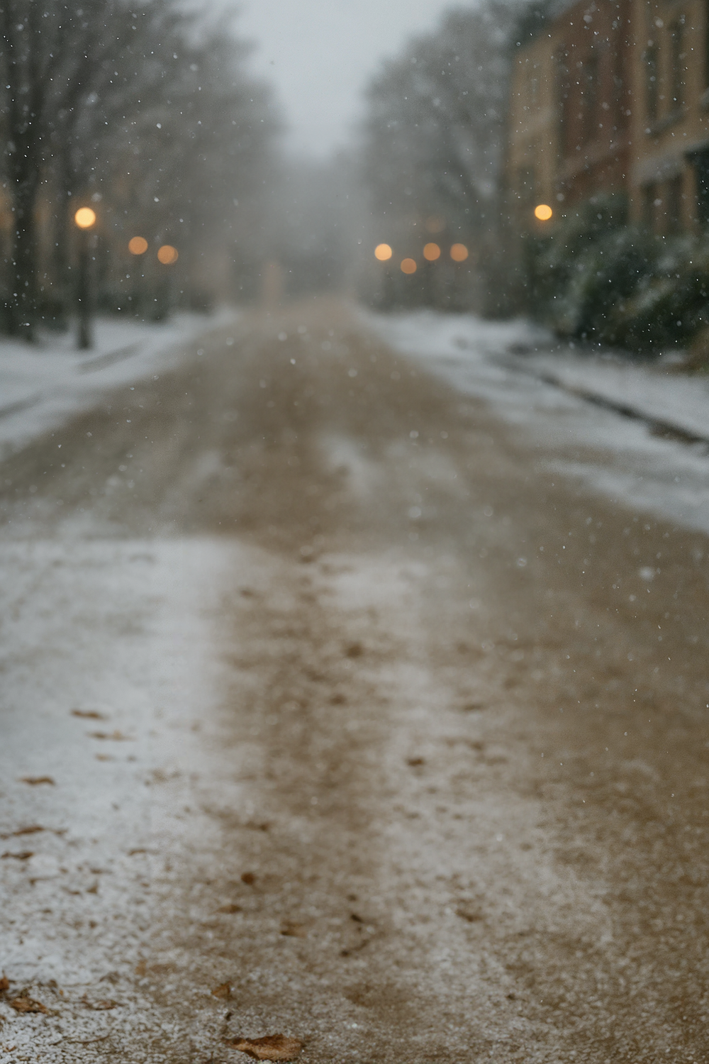 Snowy city street lined with trees and buildings