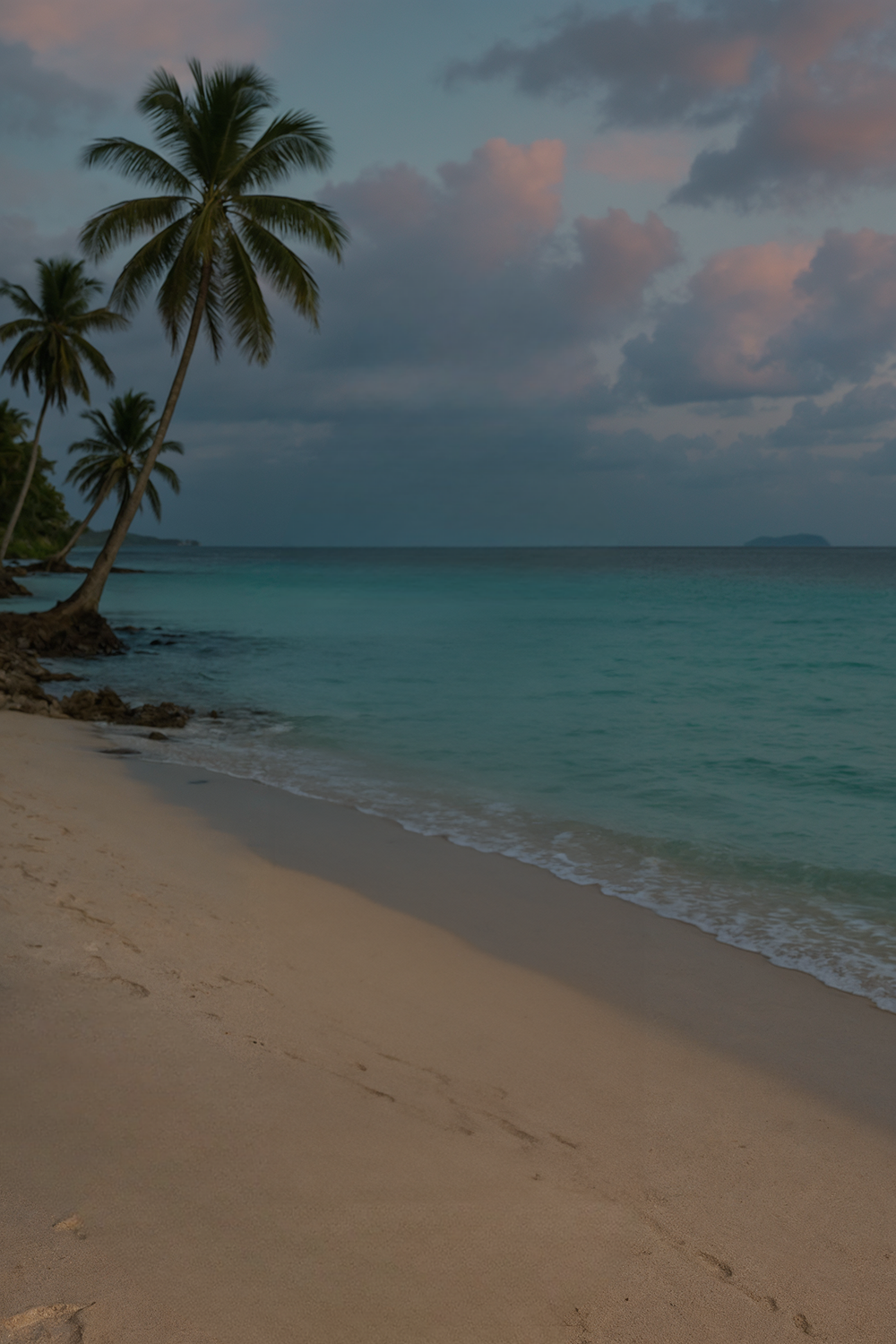 Tropical beach at sunset with palm trees and ocean