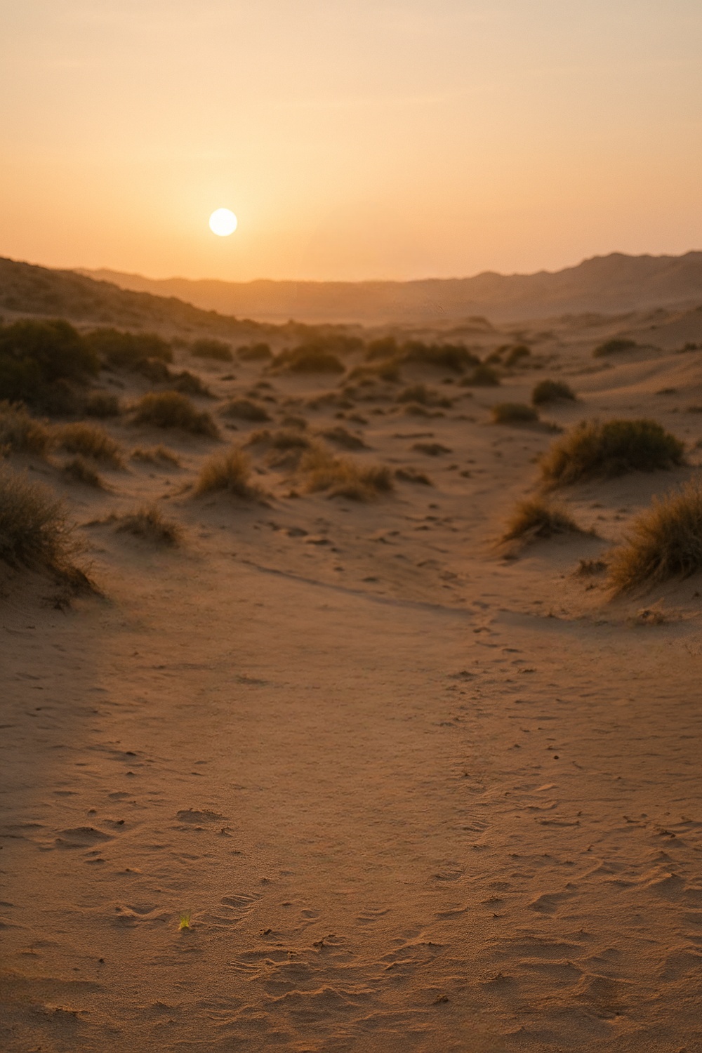 Golden sun setting over soft desert dune landscape