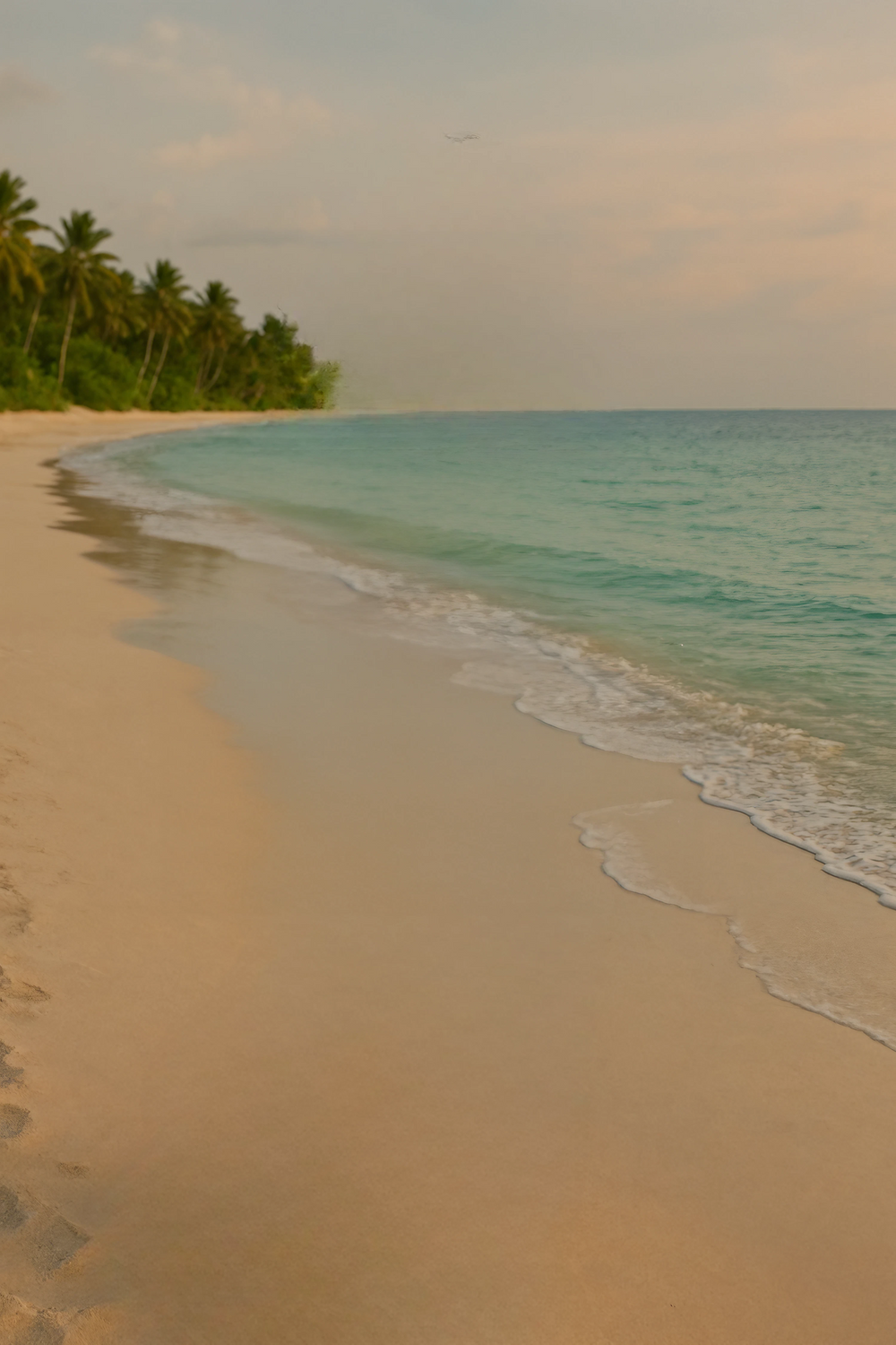 Tropical beach shoreline with palm trees and calm sea