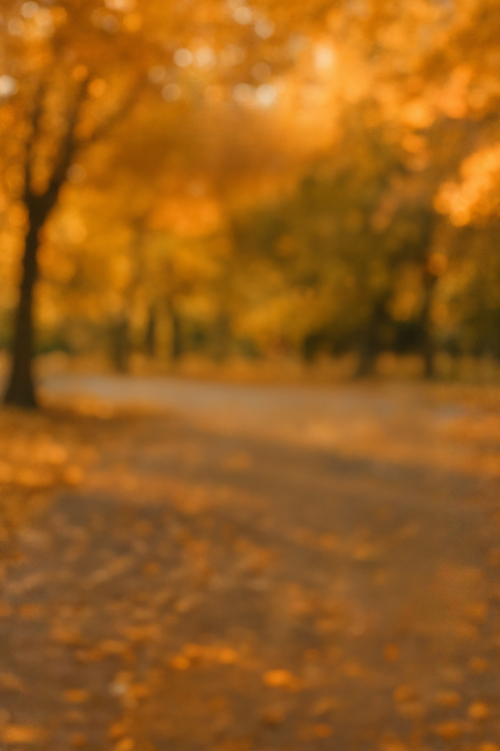 Autumn park with golden foliage and scattered fallen leaves