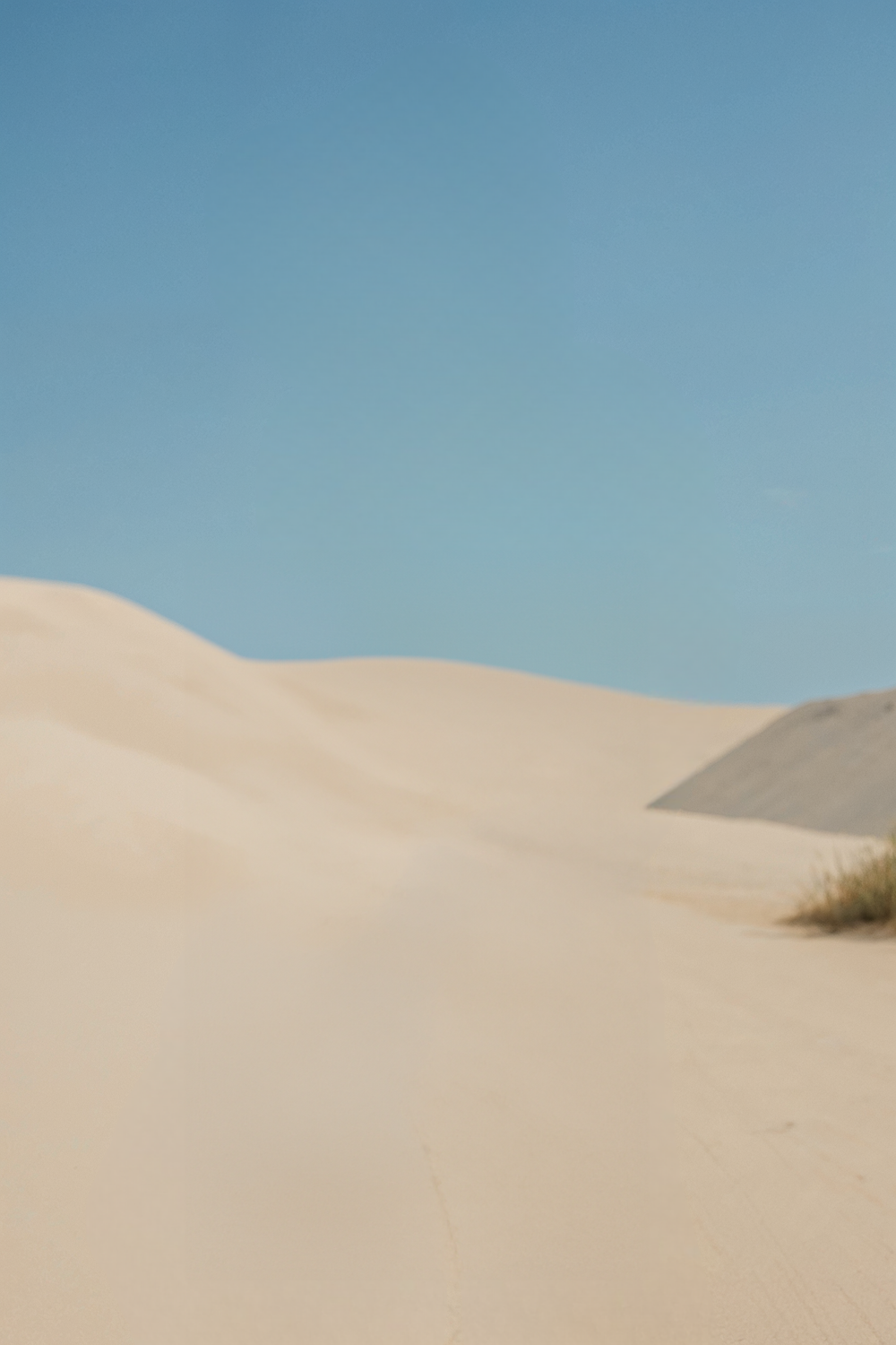 Bright desert dunes under clear blue midday sky
