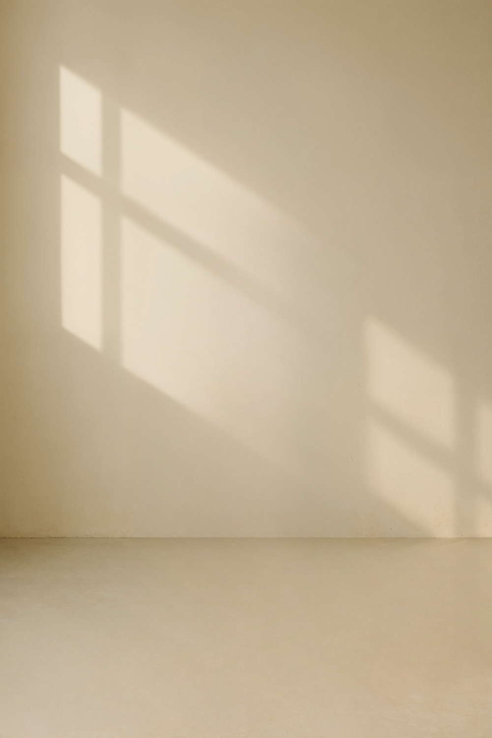 Soft sunlight casting window shadows on neutral wall