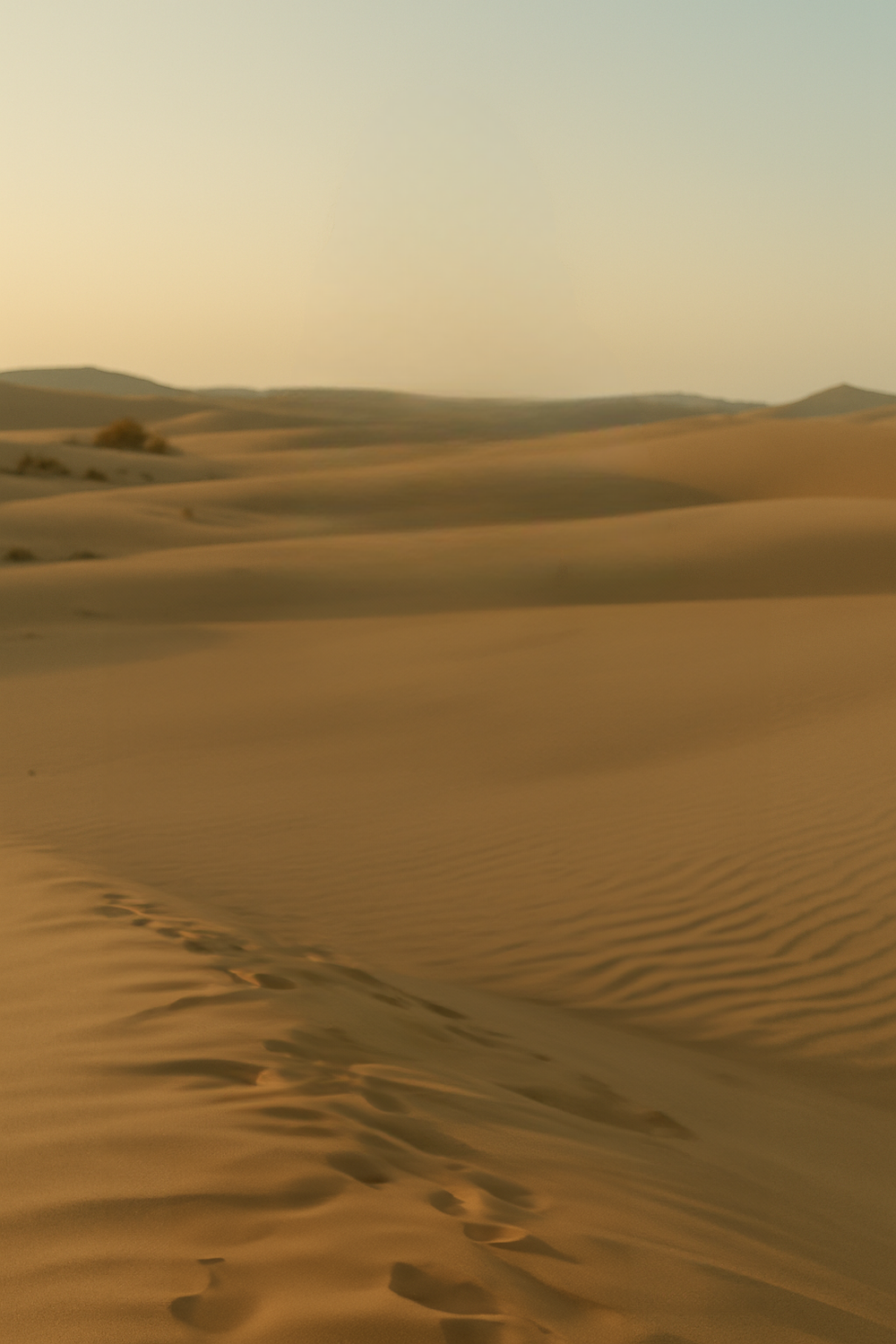 Golden Hour Serenity Across Endless Desert Sand Dunes