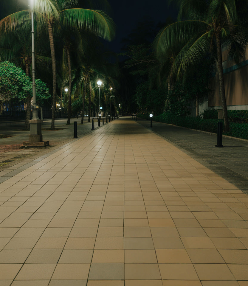 Quiet palm-lined walkway illuminated by warm streetlights on a calm night