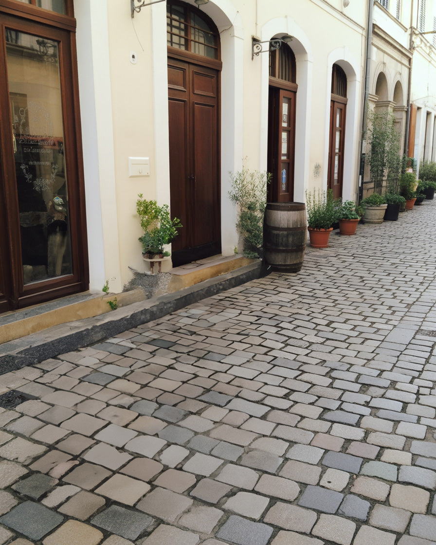 Narrow cobblestone street lined with wooden doors, potted plants, and arches
