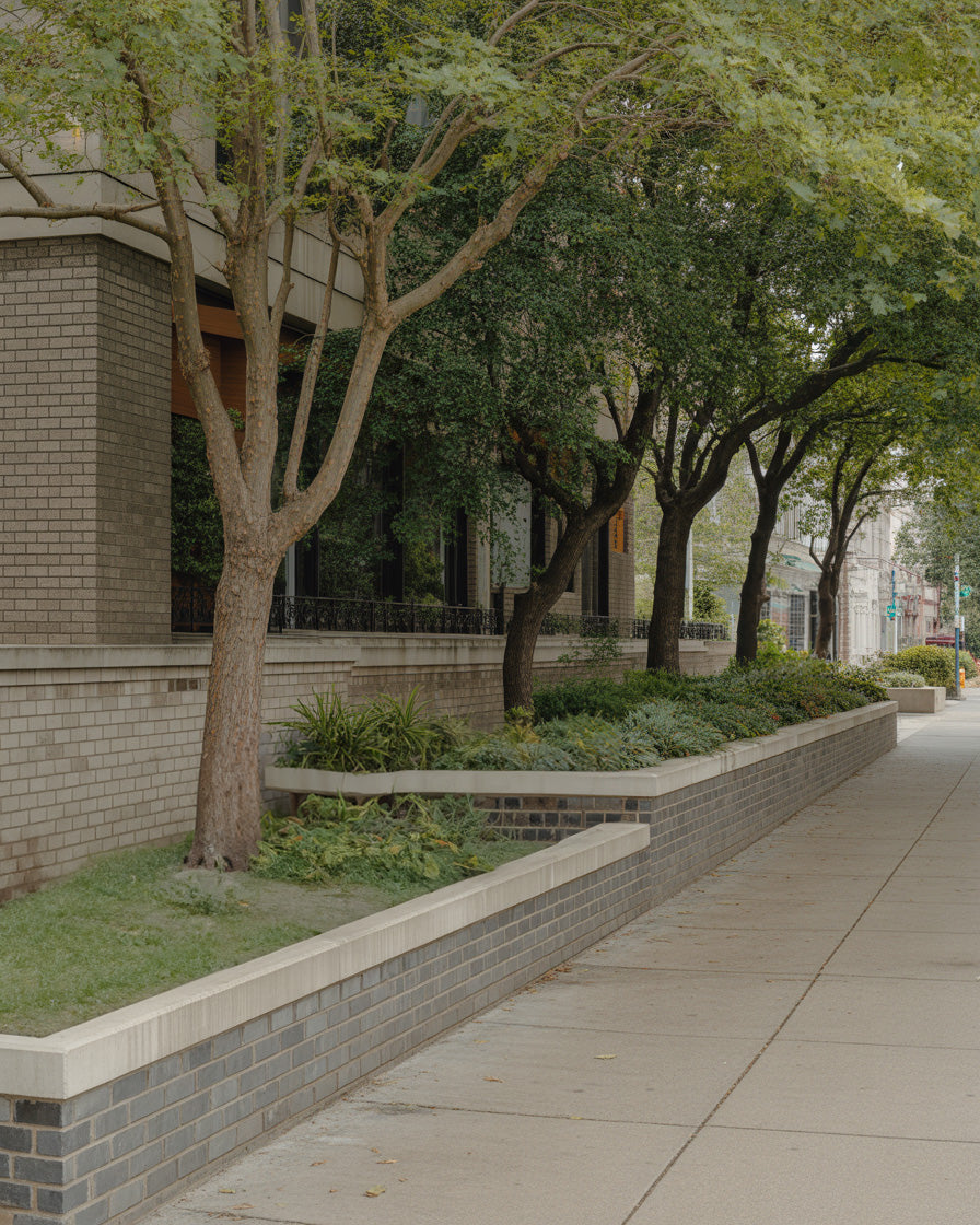 Quiet city sidewalk lined with leafy trees and raised brick planters