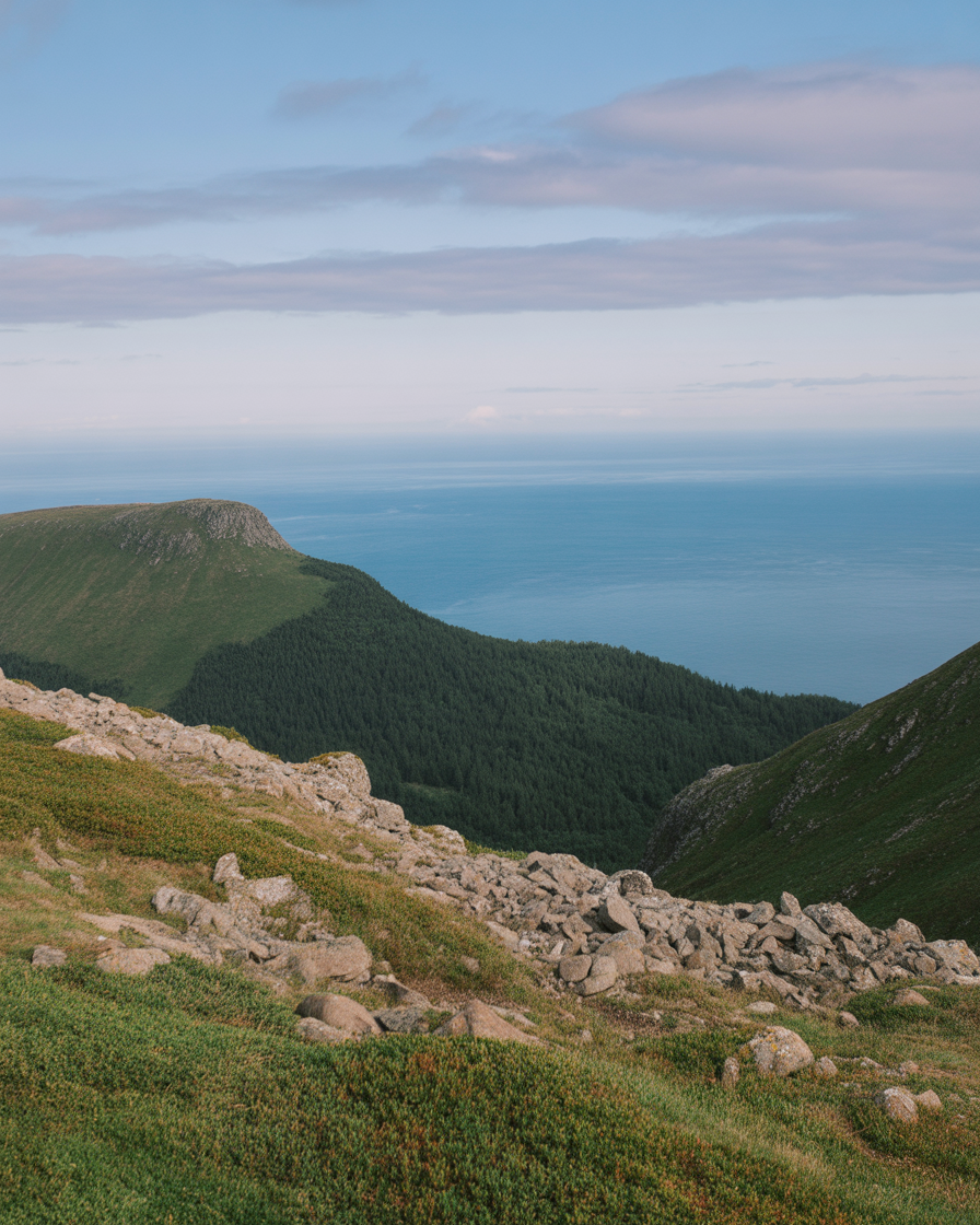 Scenic mountain slope overlooking lush forests and calm ocean horizon view
