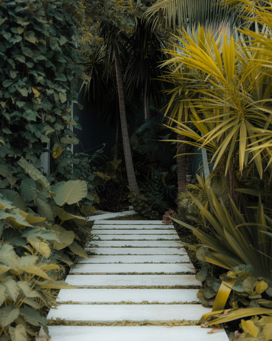 Tropical garden pathway surrounded by lush greenery and vibrant palm plants