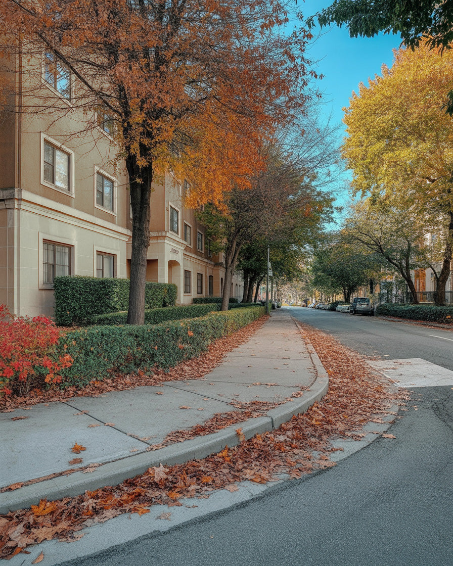 Quiet residential street lined with autumn trees and neatly trimmed hedges