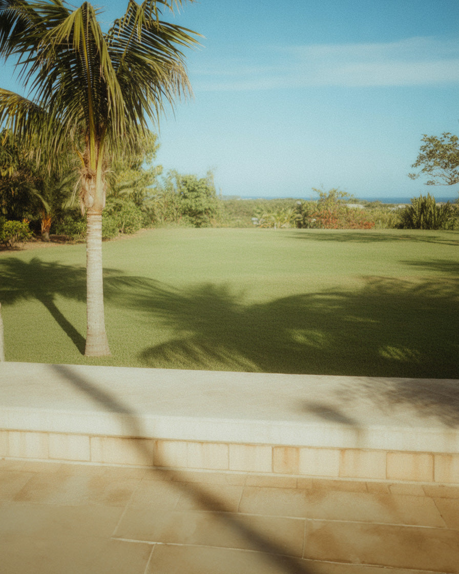 Sunny tropical lawn with palm trees and ocean in the distance