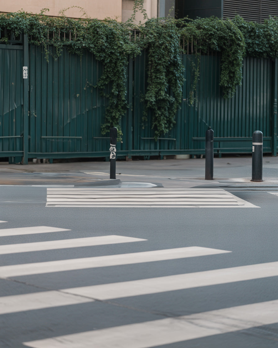 Urban crosswalk street beside vine-covered metal fence
