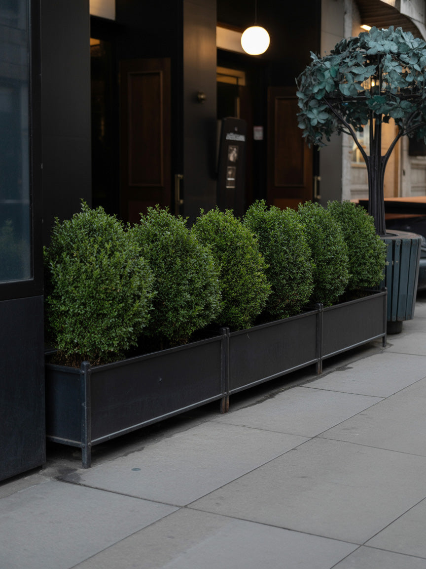 Downtown sidewalk planters beside a dark storefront