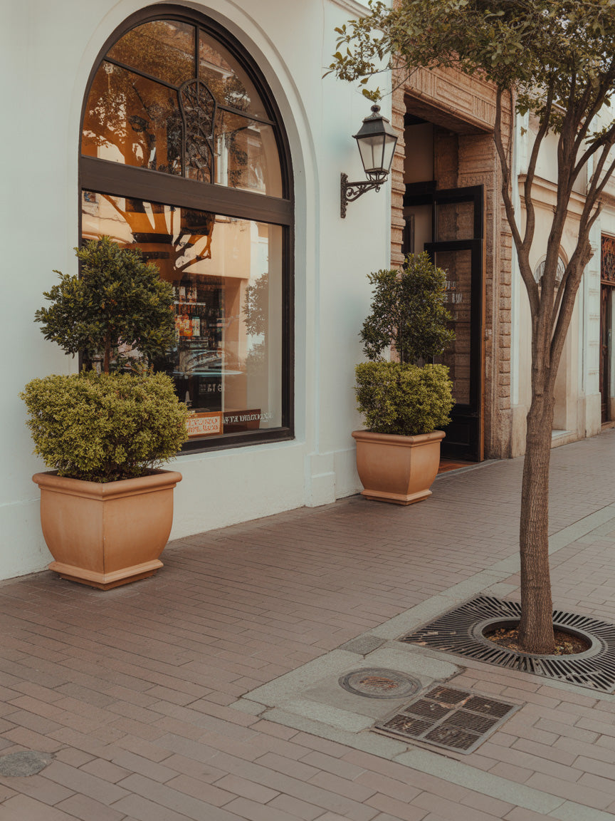 Warm storefront scene with potted greenery and arched window