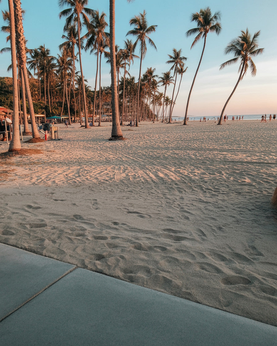 Palm-lined tropical beach at sunset with soft sand