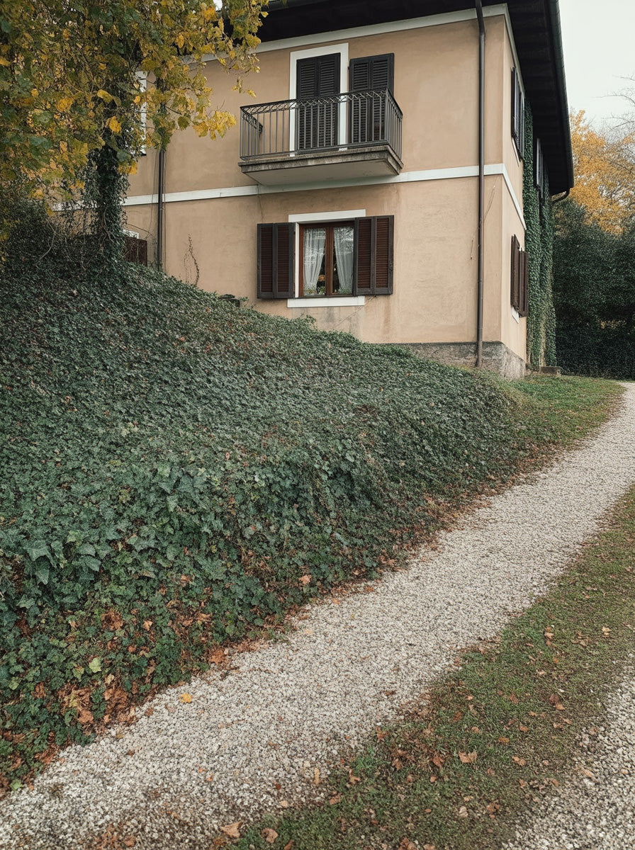 A quiet European countryside home set on an ivy-covered hillside with a winding gravel path, muted autumn tones, and classic shutters