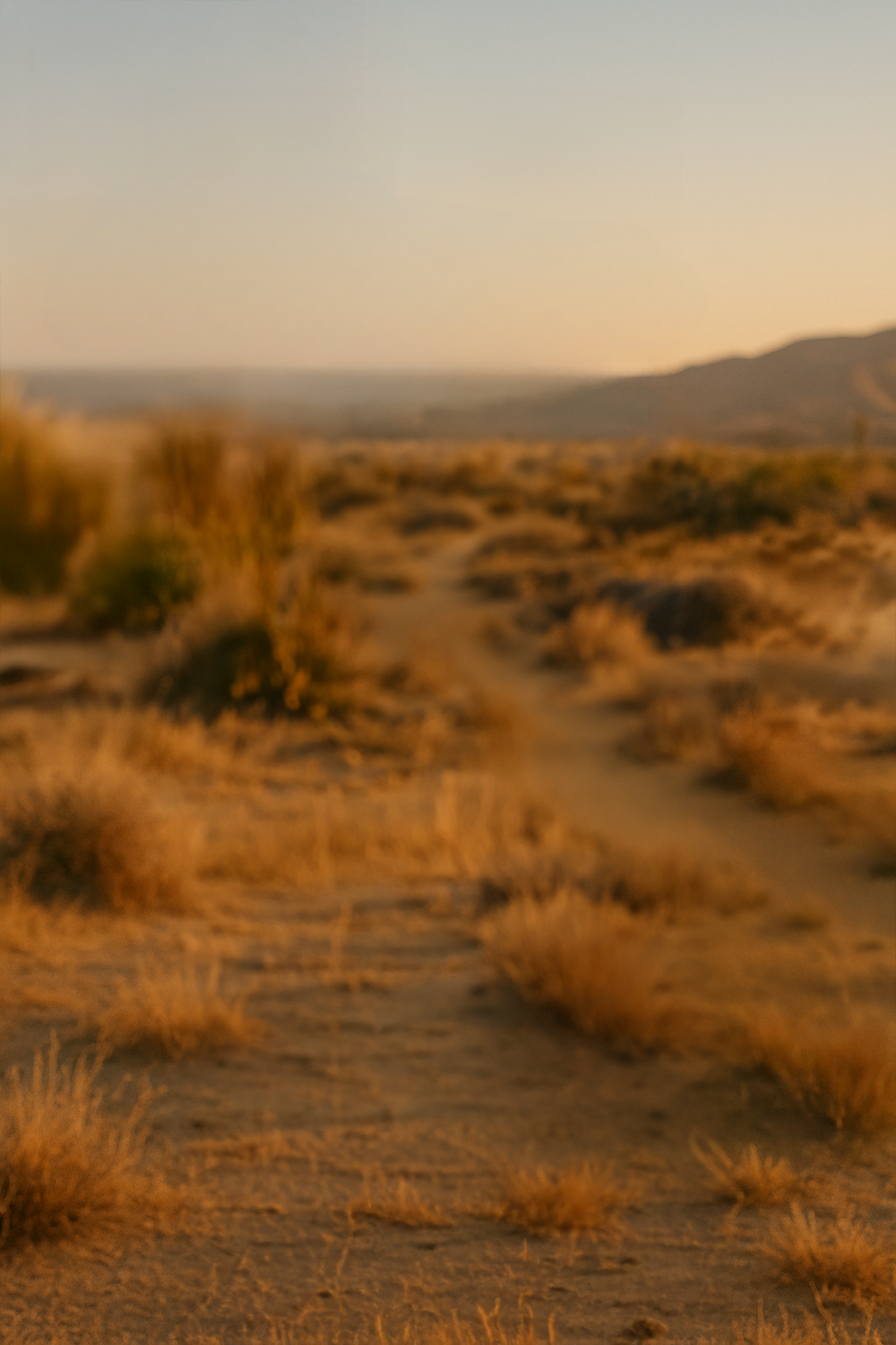 Golden desert with soft sunset light and dirt