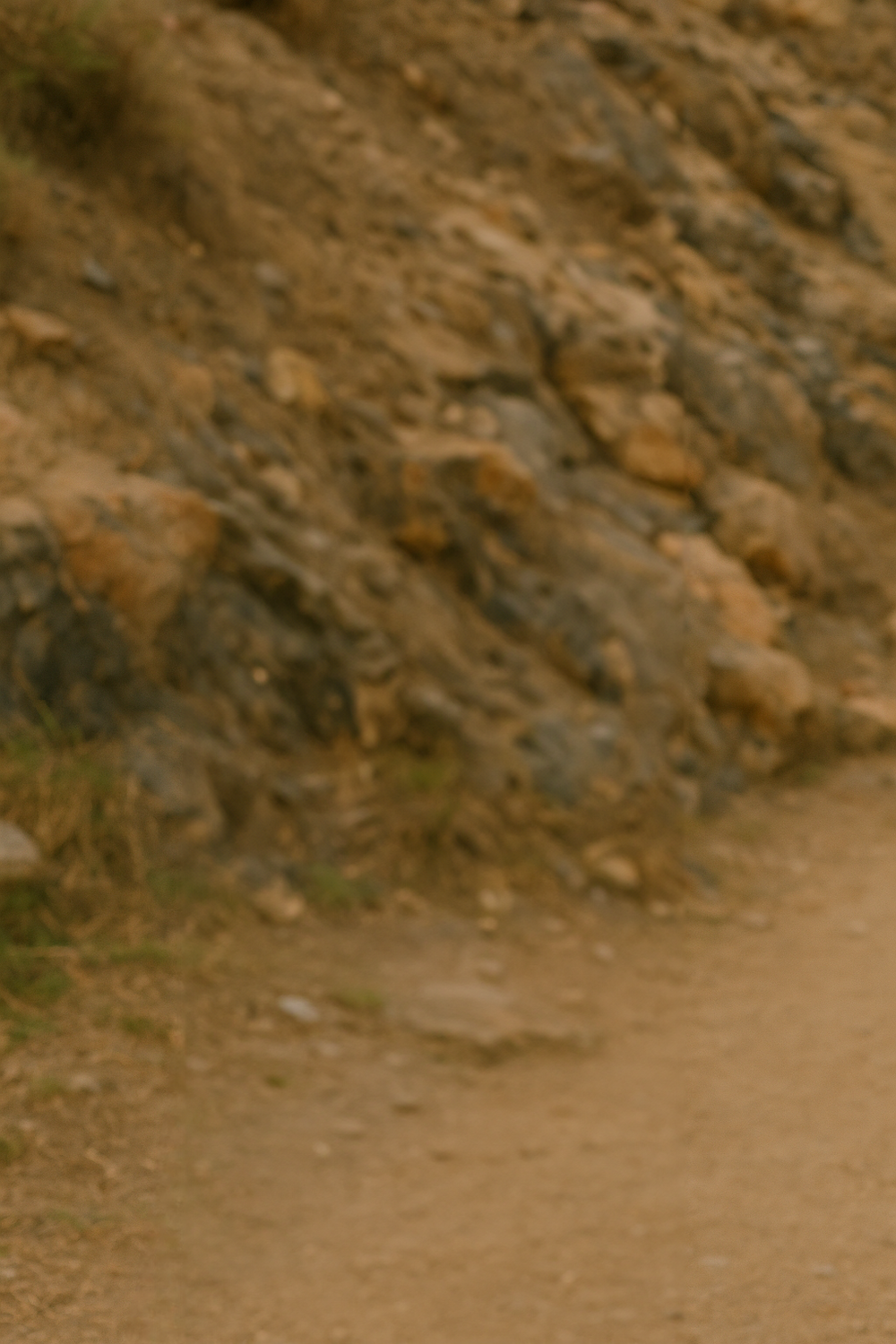 Soft Light Along a Rustic Mountain Trail