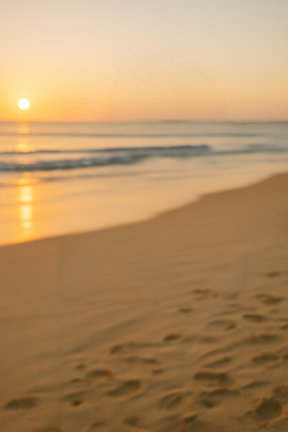 Peaceful sunset walk along the shoreline