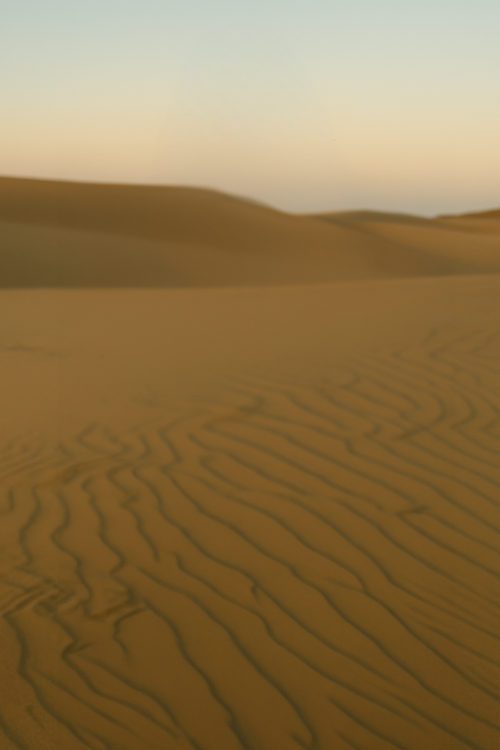 Soft Sunset Glow Across Desert Shifting Sand Dunes