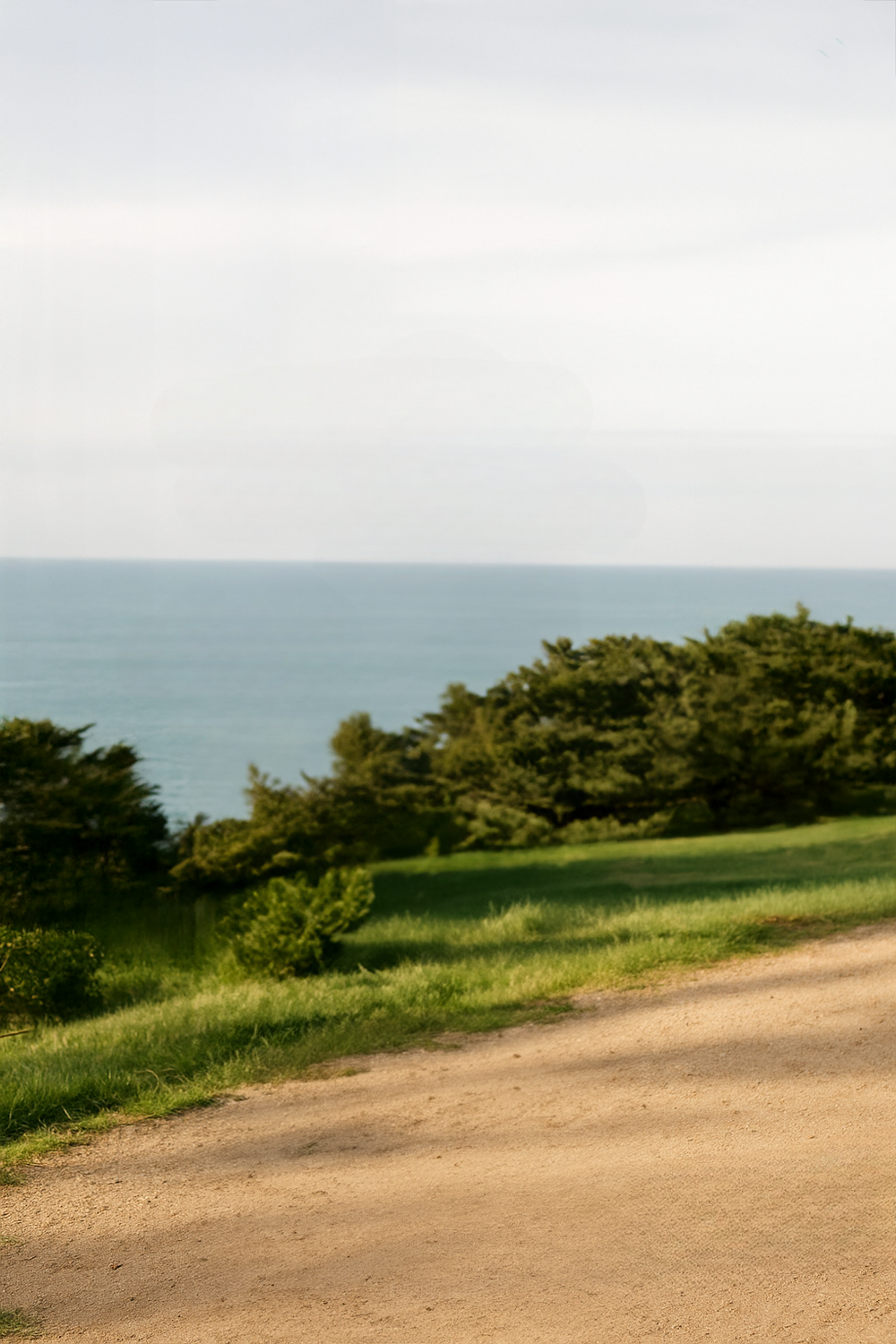 Coastal Cliffside Path Overlooking Calm Ocean Horizon