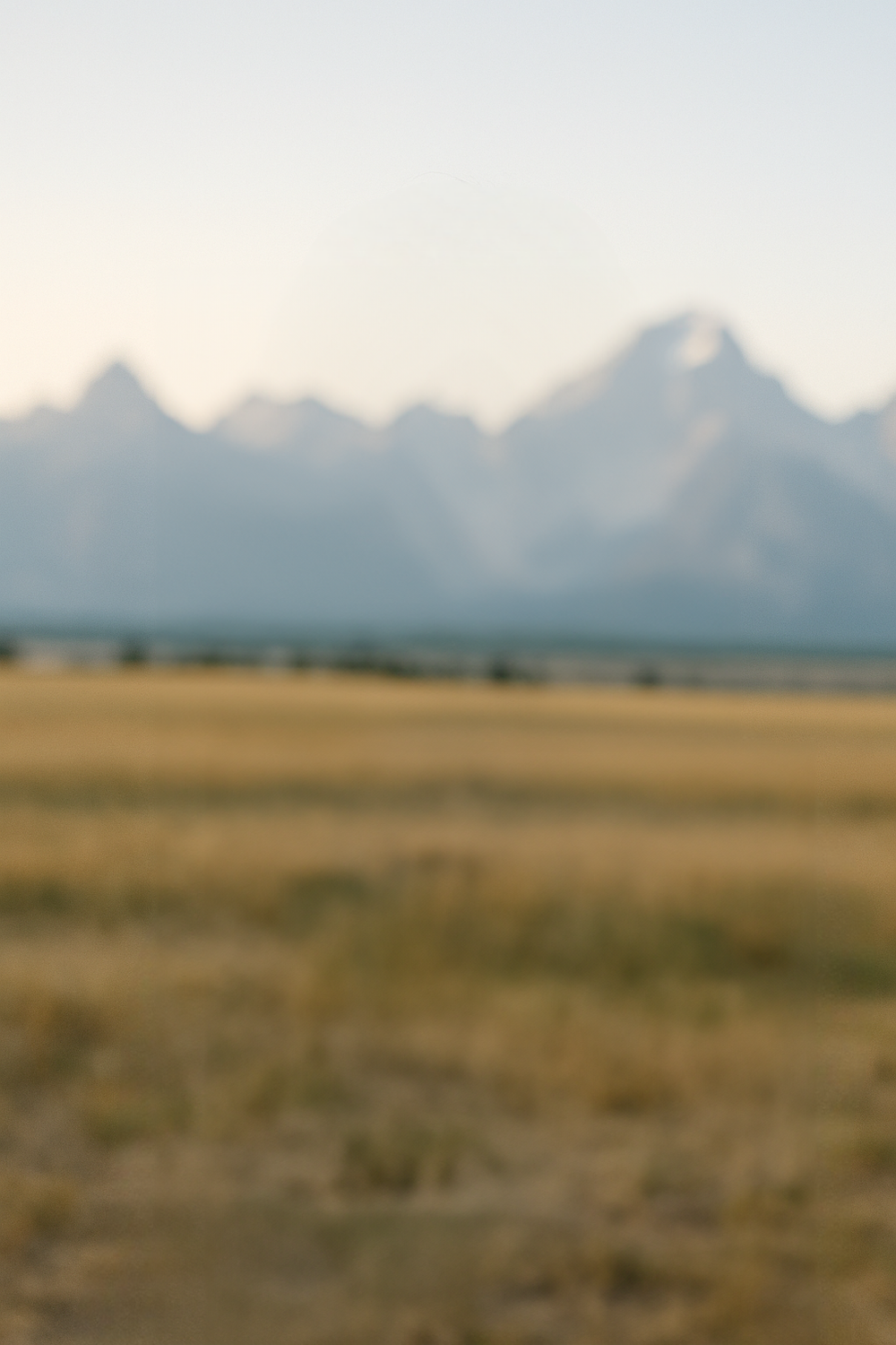 Sunlit open field with distant hazy mountain range backdrop