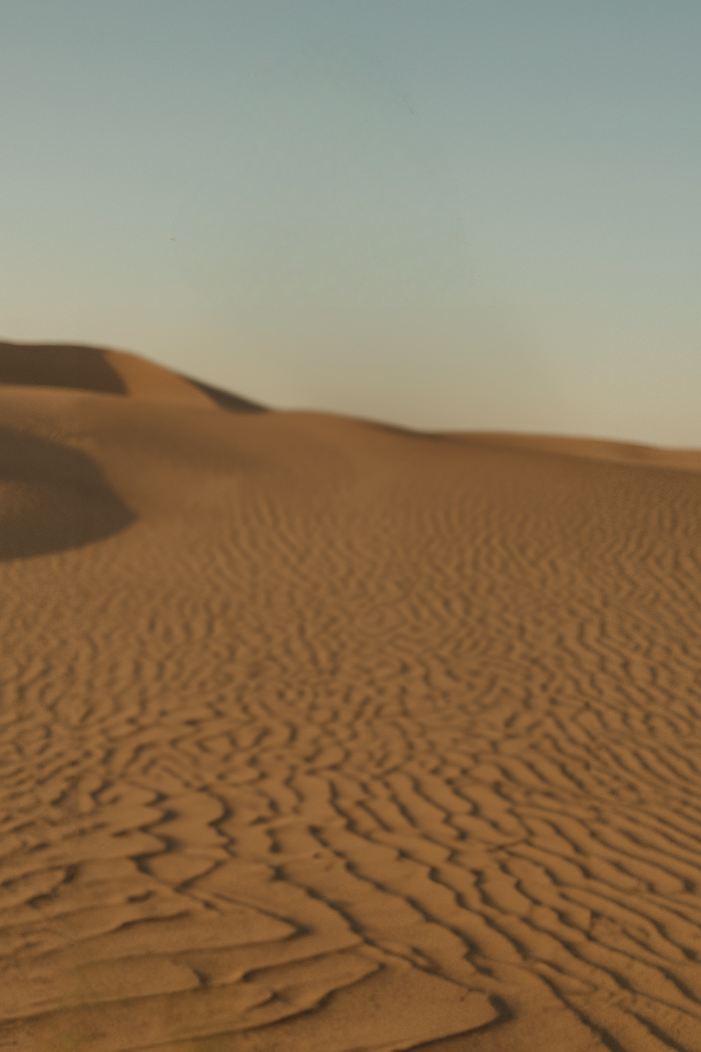 Calm Twilight Stroll Through the Desert Sands