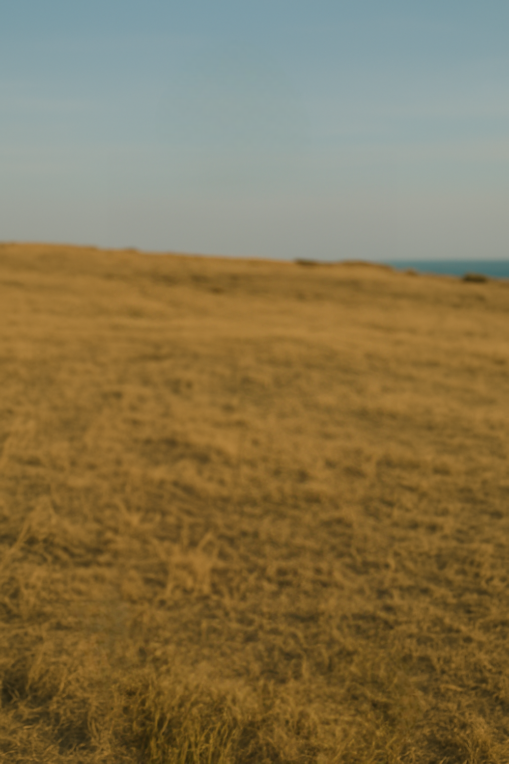 Calm afternoon on sunlit grassy hills