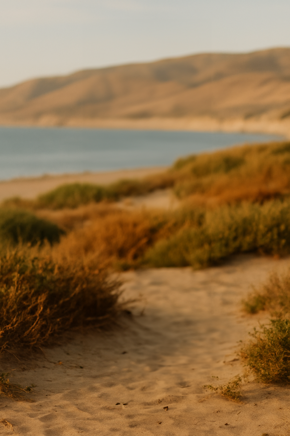 A golden beach stroll with a natural summer vibe