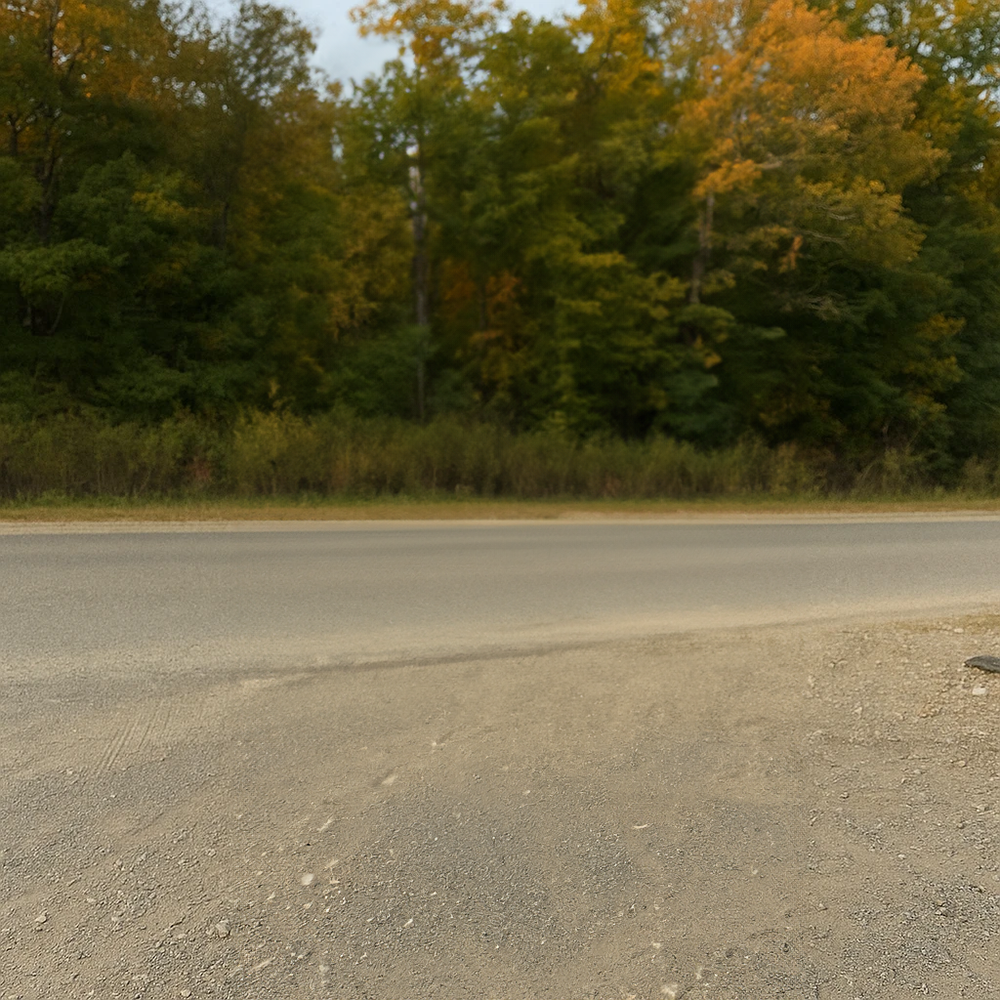 Autumn Roadside Calm afternoon — Minimalist Natural Aesthetic