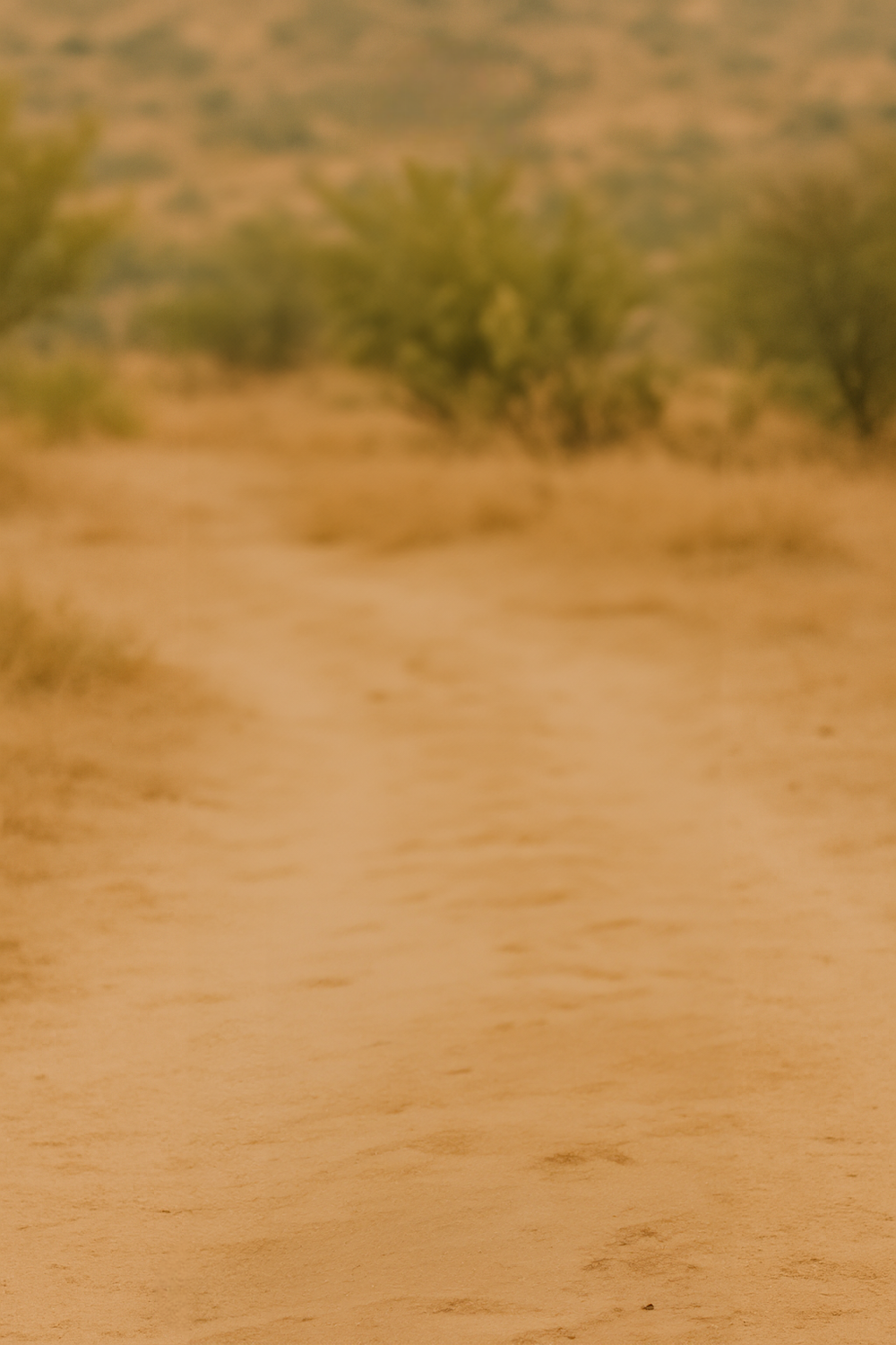 Golden Desert Path Surrounded by Distant Hills