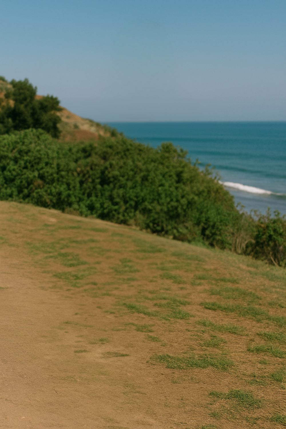 Coastal Hillside Path Overlooking Blue Horizon