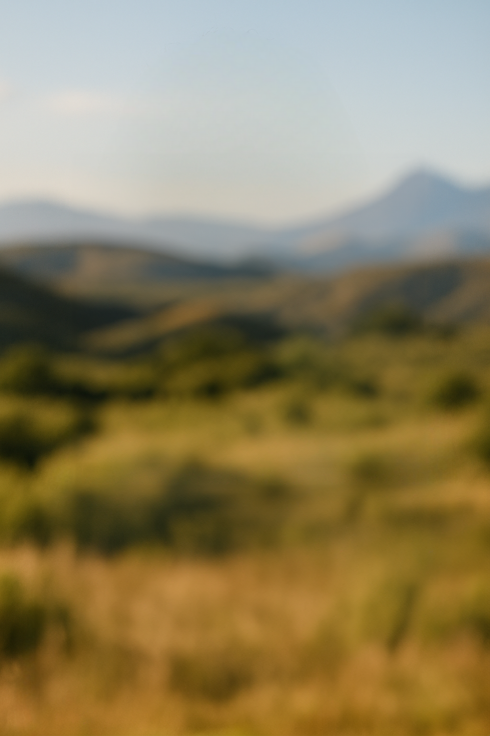 A serene look across rolling hills in warm light
