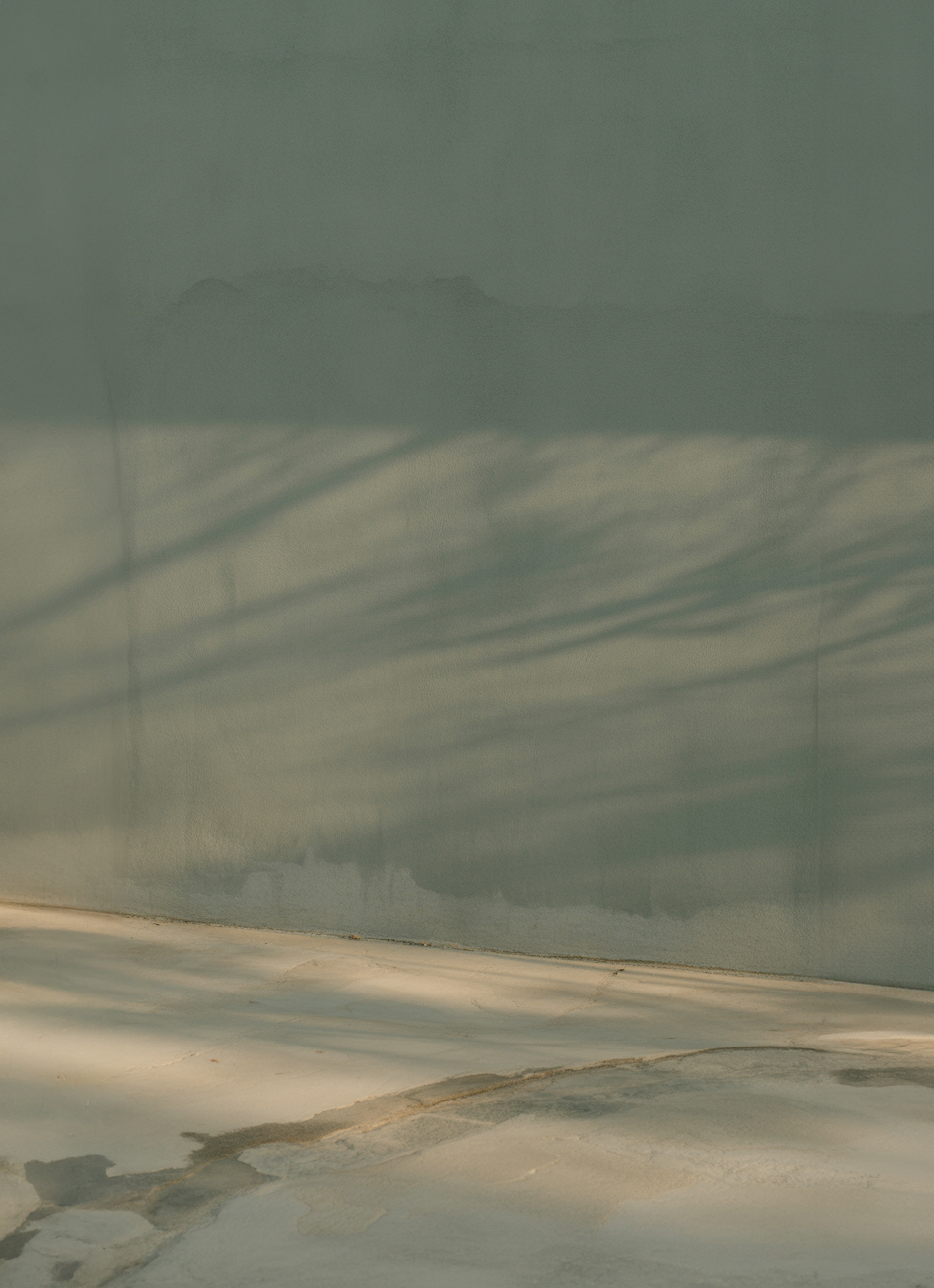 Green wall with soft sunlight and shadow patterns