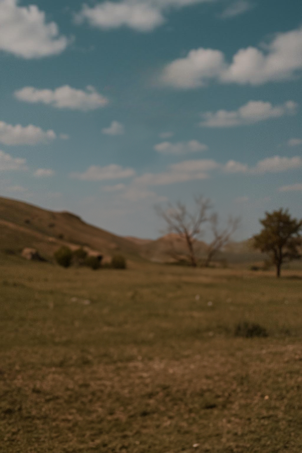 Open meadow with rolling green hills