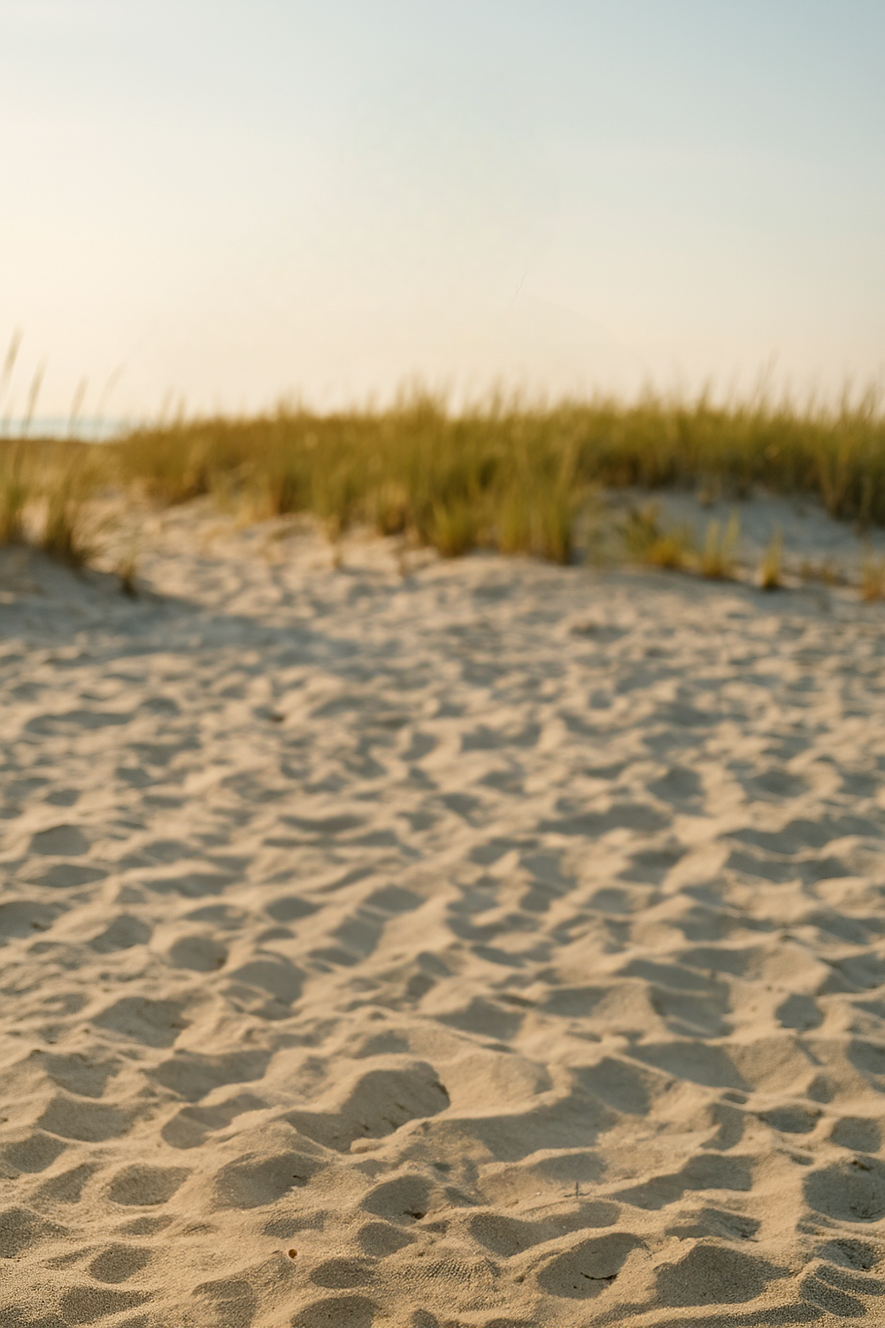 Serene morning stroll along sandy beach dunes
